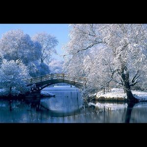 Meet your Posher, Claudia